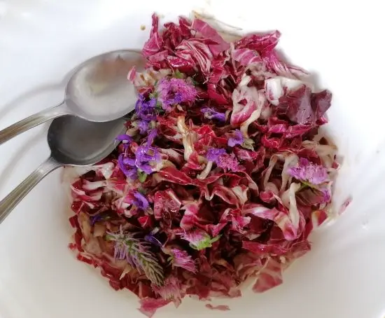 Insalata "Solstizio" di Phyteuma Ovatum